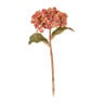 Hortensia met goud - diverse kleuren - 28 cm