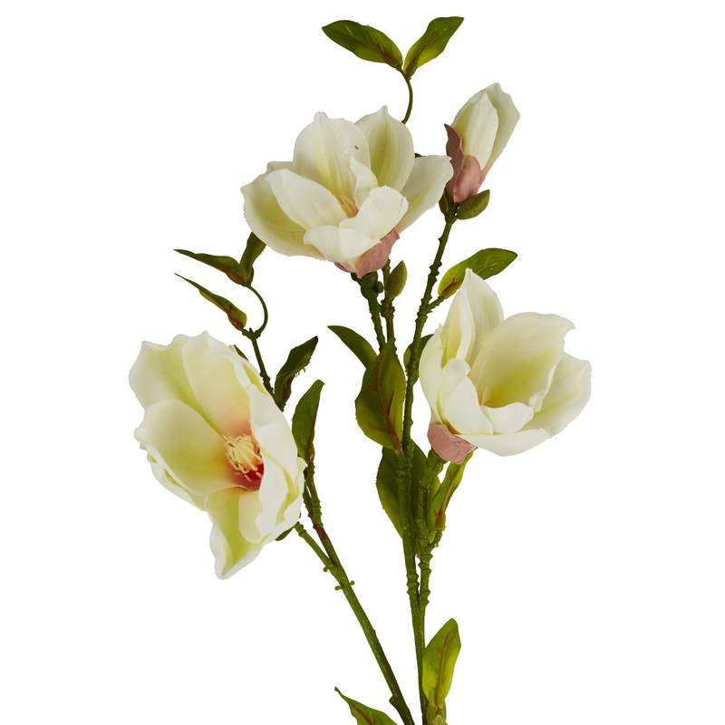 Magnoliatak crème - 93 cm 