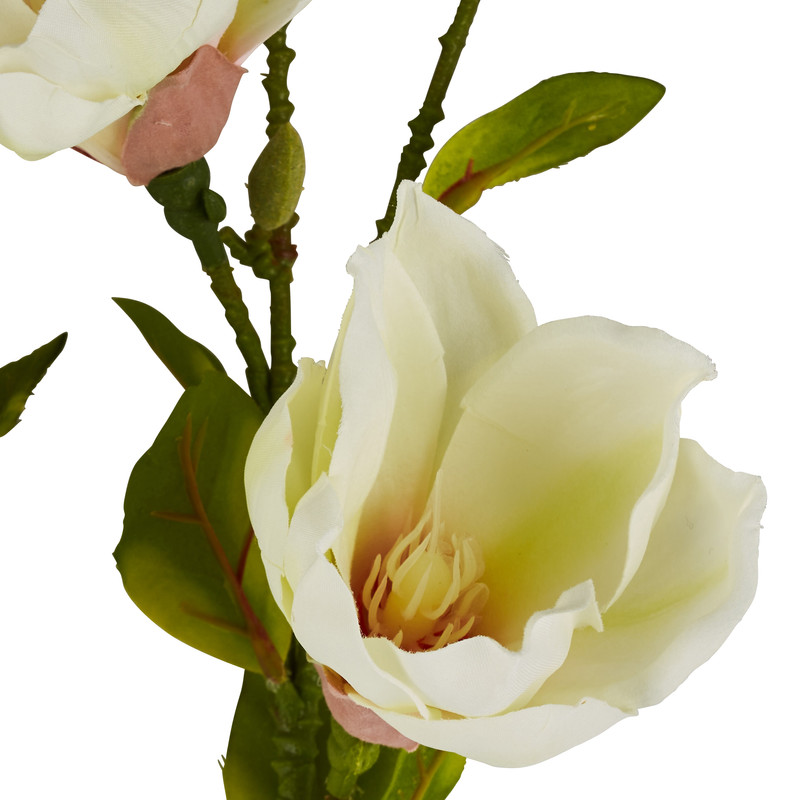 Magnoliatak crème - 93 cm 