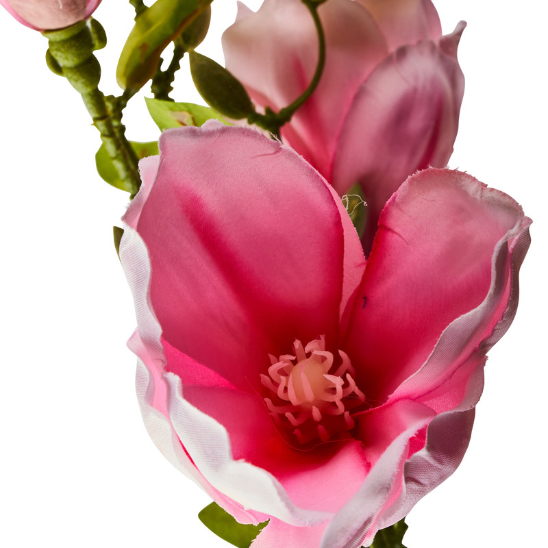 Magnoliatak roze - 93 cm 