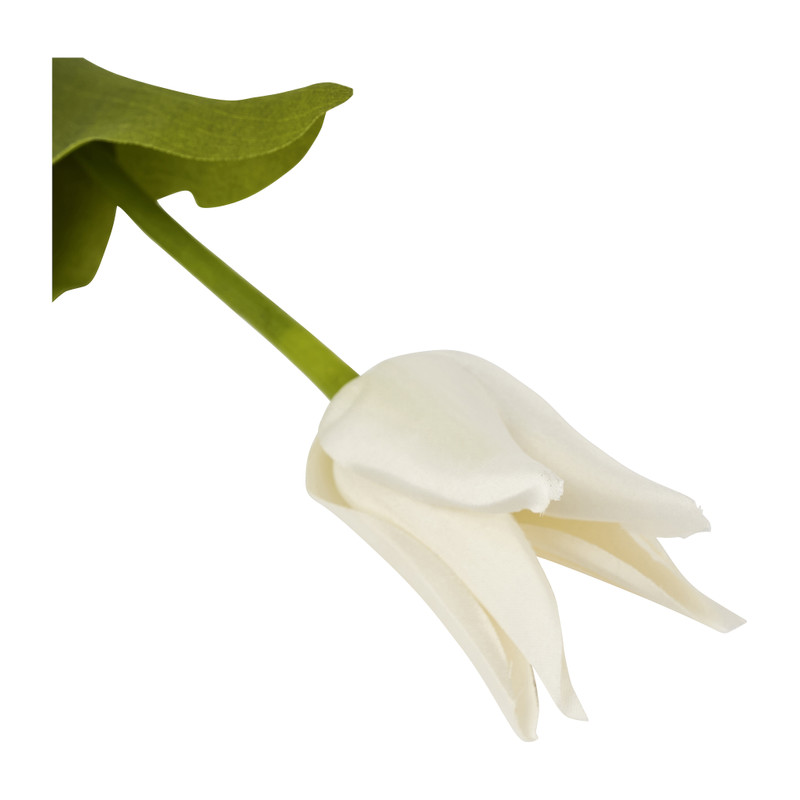 Tulp klein spits - verschillende kleuren - 40 cm