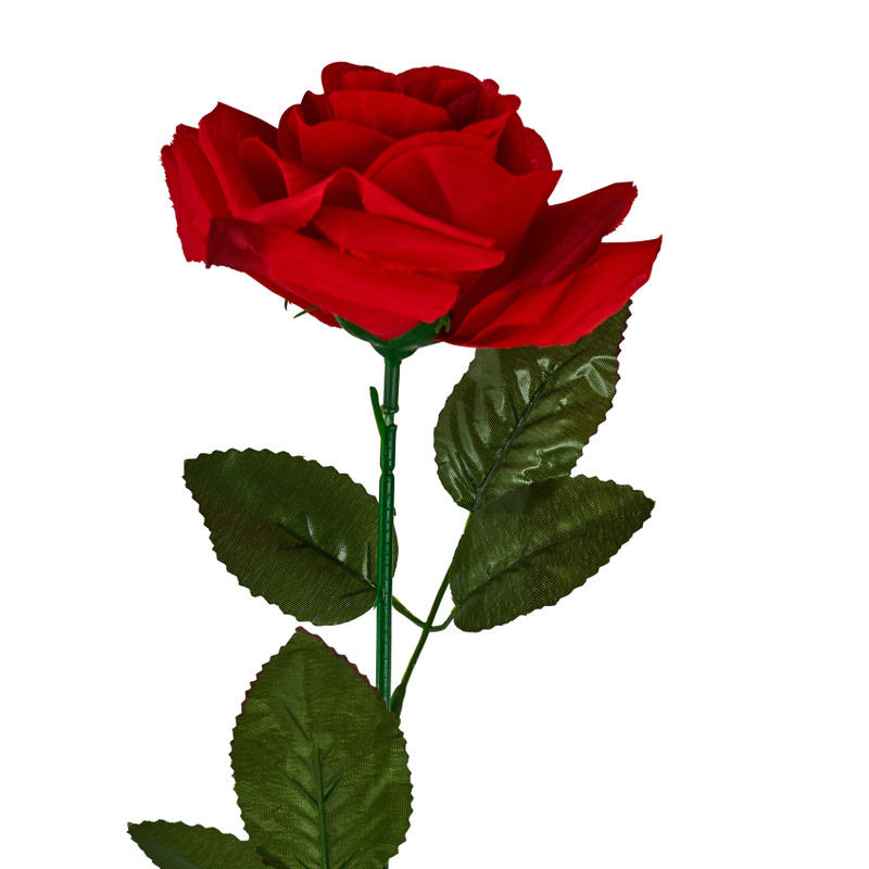 Roos - rood - 68 cm