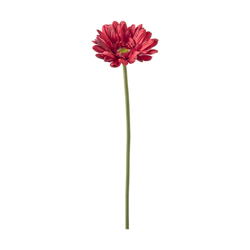 Gerbera - rood - 54 cm