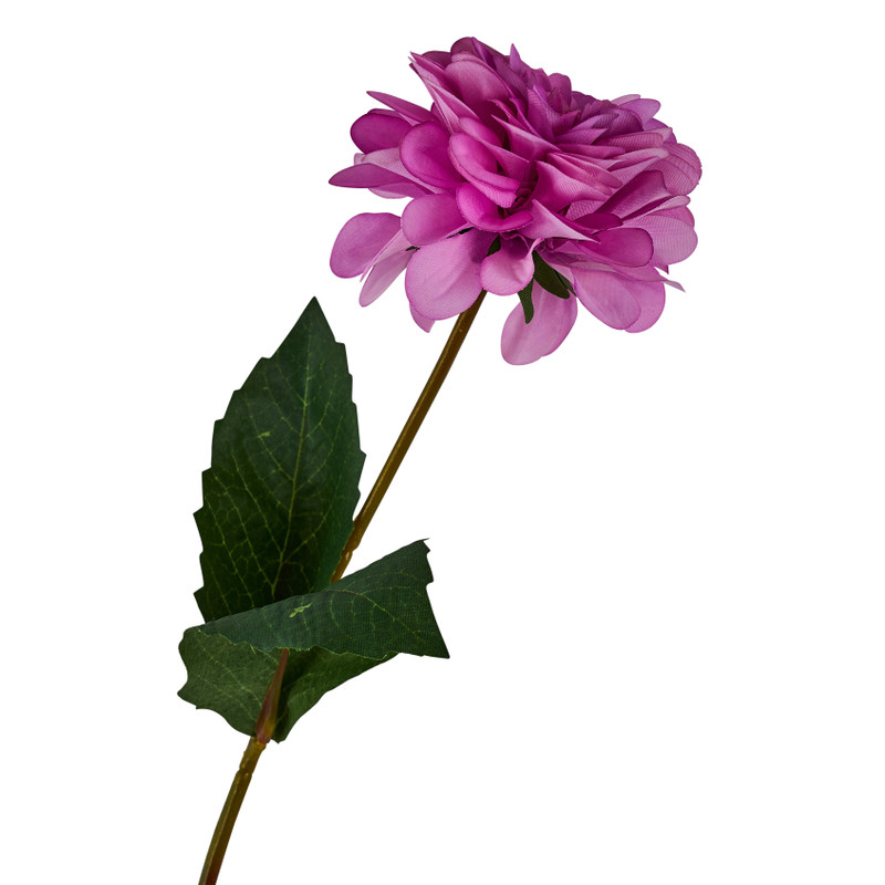 Zinnia - roze - 66 cm