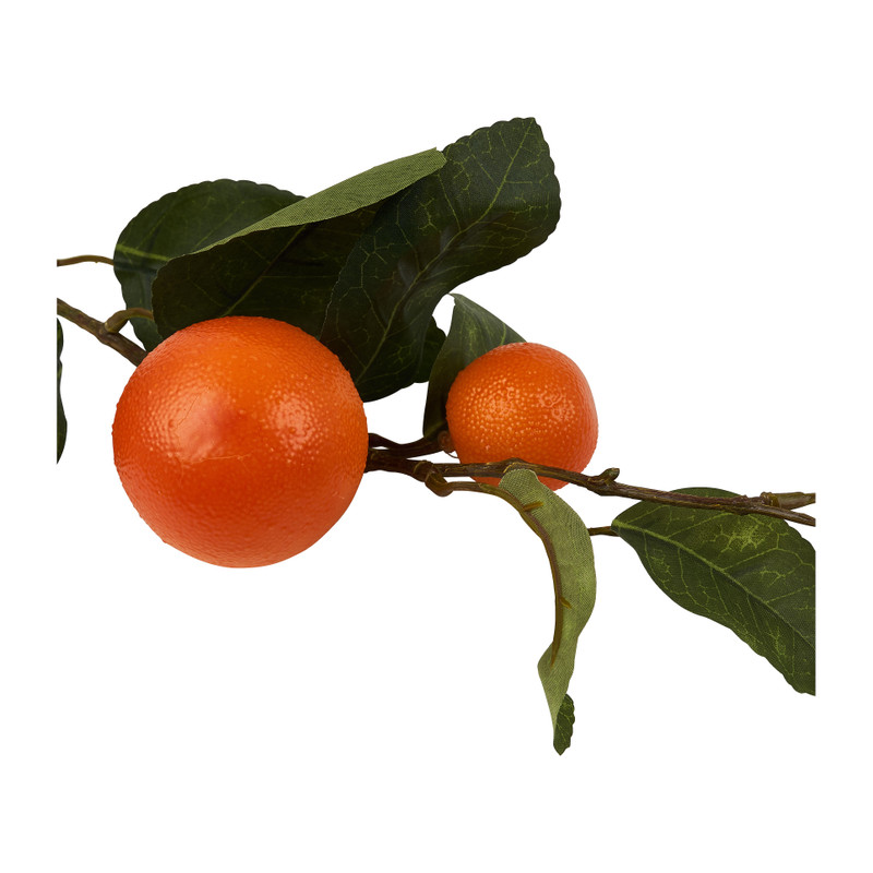 Sinaasappel tak - 72 cm