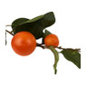 Sinaasappel tak - 72 cm