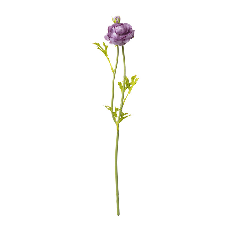 Ranonkel - verschillende kleuren - 39 cm