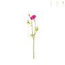 Ranonkel - verschillende kleuren - 39 cm