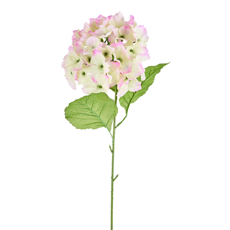 Hortensia - groen/roze -73 cm