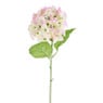 Hortensia - groen/roze -73 cm