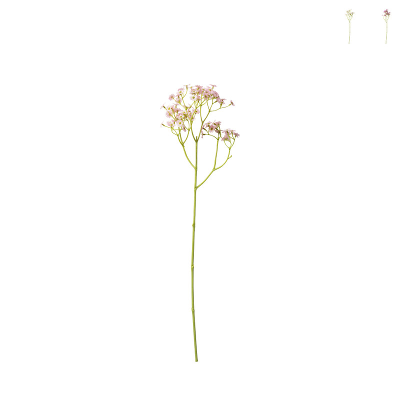 Madeliefje - diverse varianten - 60 cm