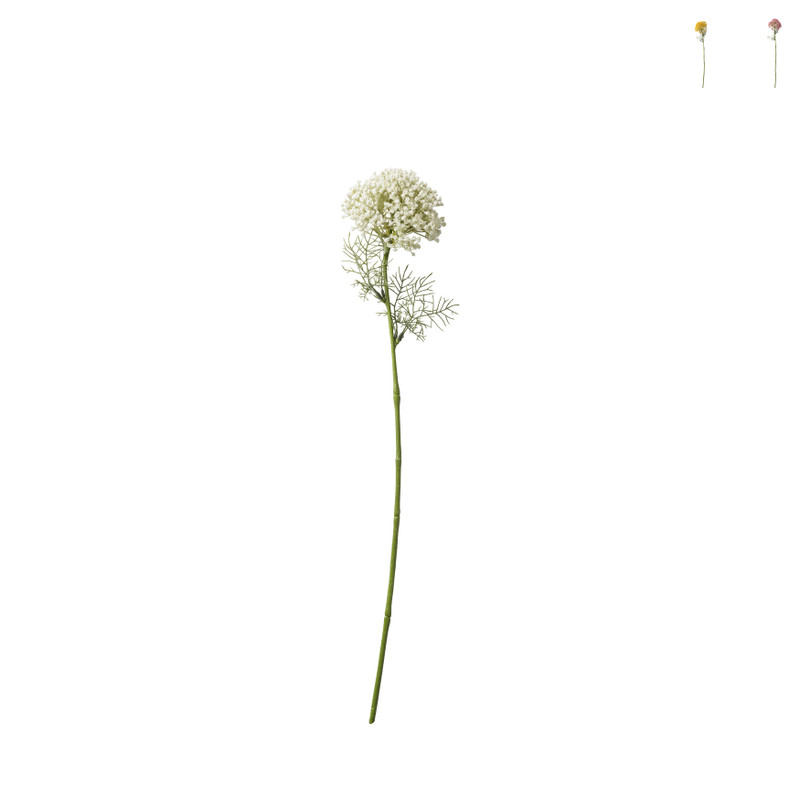 Berenklauw - diverse varianten - 66 cm