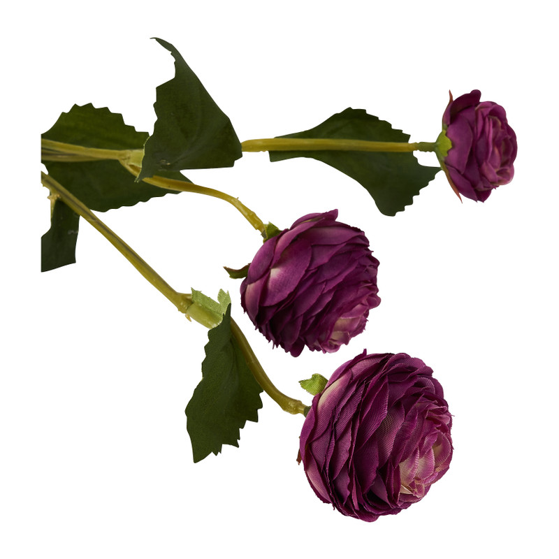 Ranonkel - paars - 41 cm