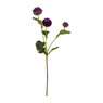 Ranonkel - paars - 41 cm