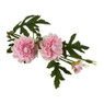 Chrysant 3-knops - roze - 46 cm