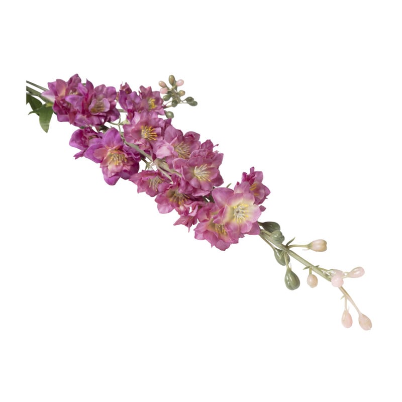 Ridderspoor - paars - 77 cm