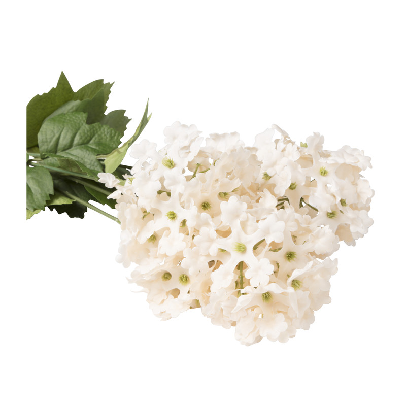 Hortensia - wit - 36 cm