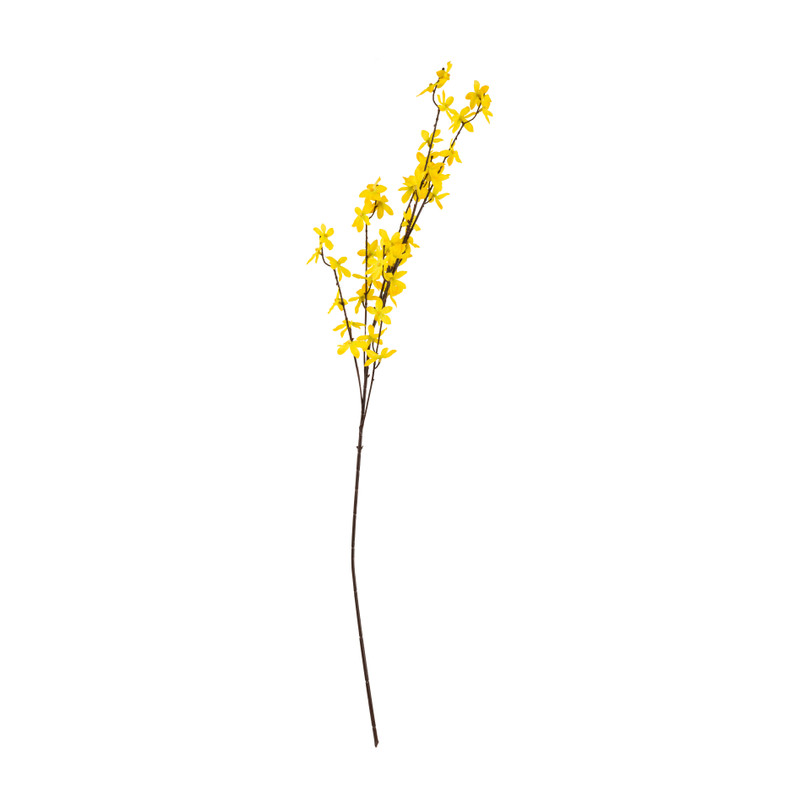 Forsythiatak - geel - 100 cm