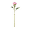 Pioenroos - roze - 80 cm