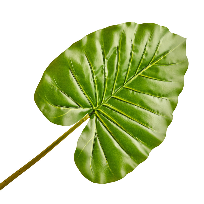 Philo blad - 2 varianten - 82 cm 