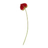 Anthurium tak - 60 cm