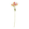 Gloriosa - 86 cm - diverse varianten