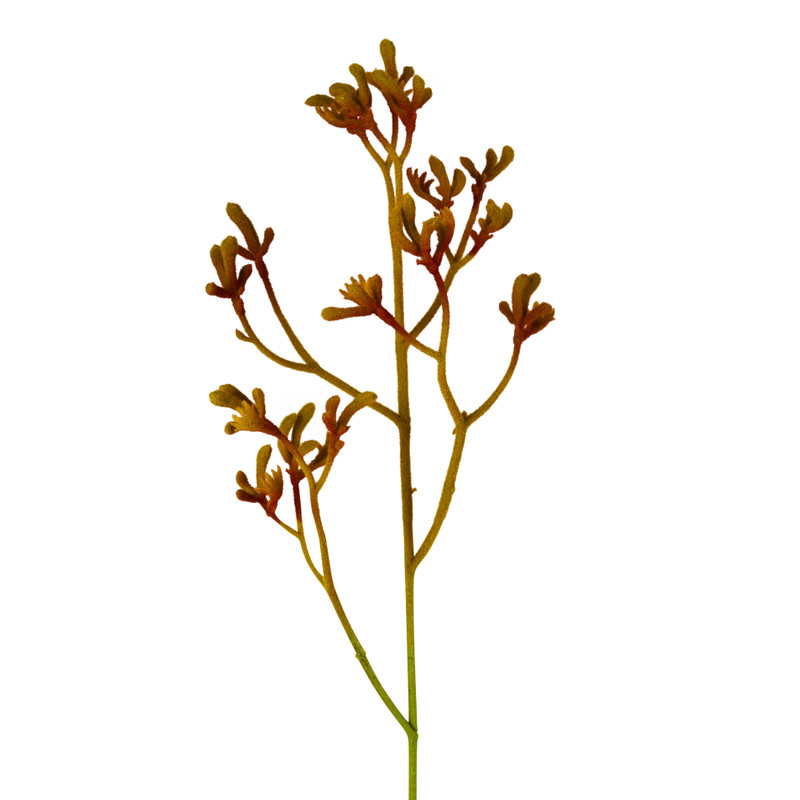 Kangoeroepootje - diverse kleuren - 72 cm