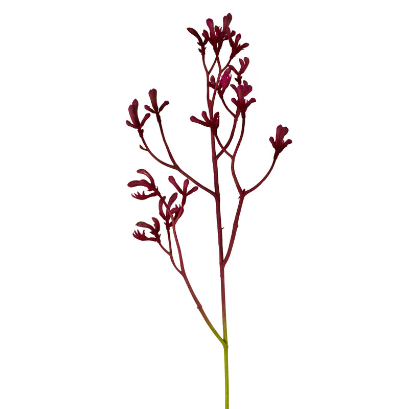 Kangoeroepootje - diverse kleuren - 72 cm