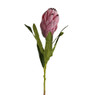 Protea bloem - 77 cm