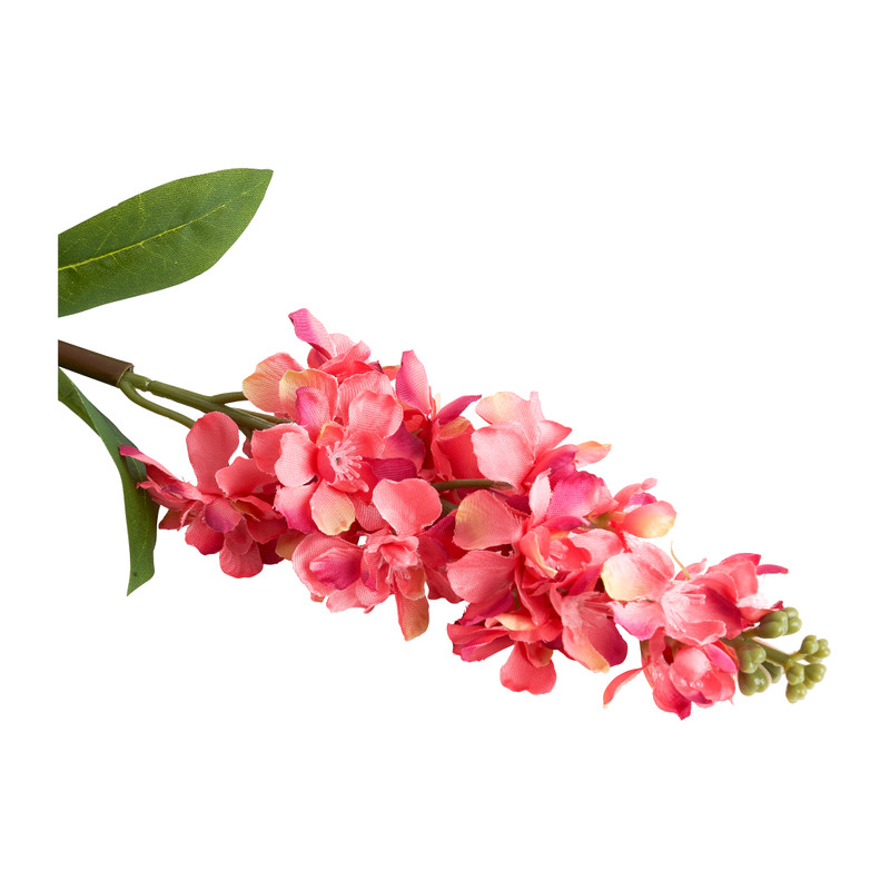 Ridderspoor roze - 67 cm