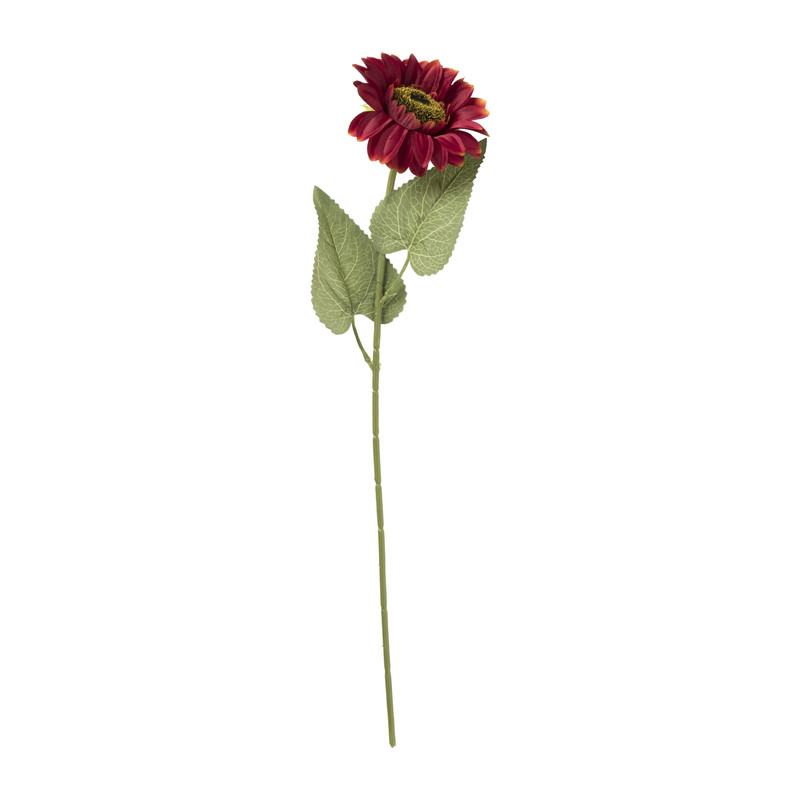 Zonnebloem - rood - 62 cm