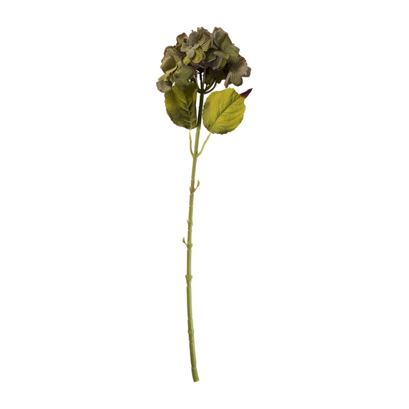 Hortensia tak - groen - 64 cm