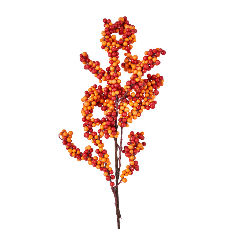 Bessentak - oranje/rood - 62 cm