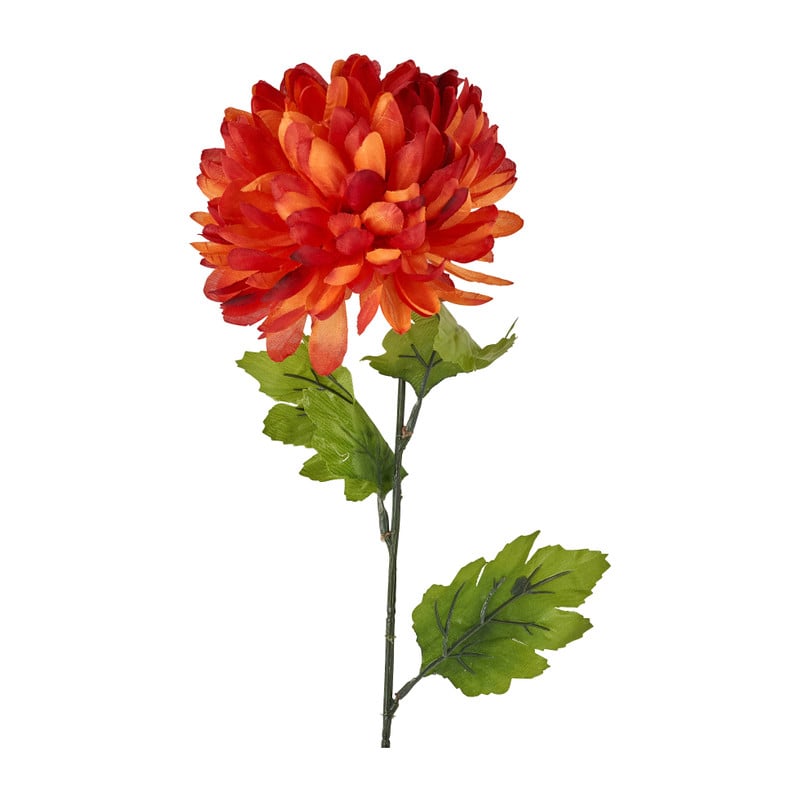 Bolchrysant - oranje - 70 cm