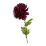 Bolchrysant - paars - 70 cm