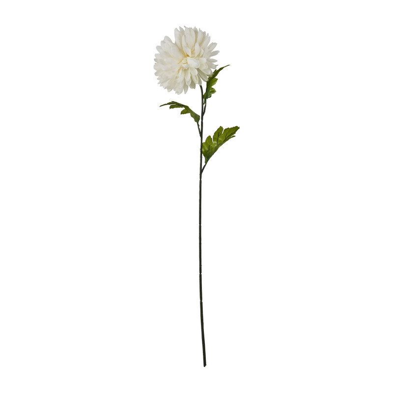 Bolchrysant - wit - 70 cm 