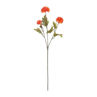 Chrysant tak oranje