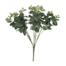 Eucalyptus - 48 cm
