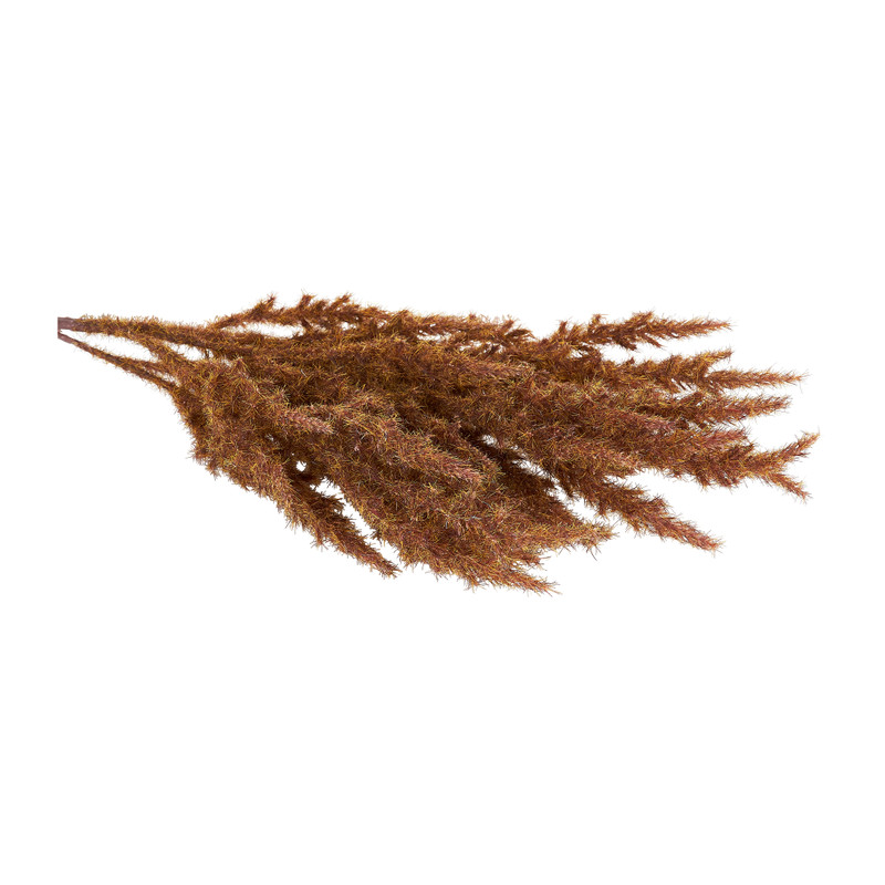 Astilbe - diverse kleuren - 70 cm 