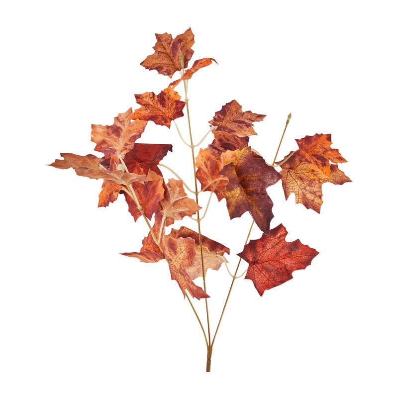 Eikentak - oranje/rood - 61 cm 