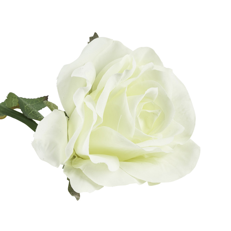 Roos wit - 59 cm 