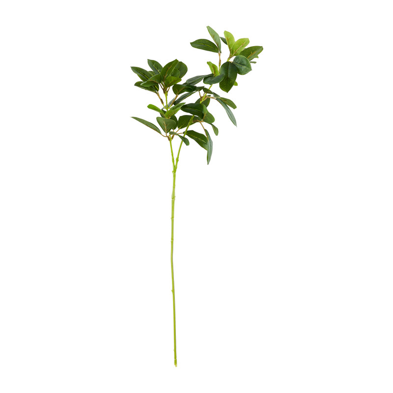 Bergamot bladeren - groen - 70 cm 