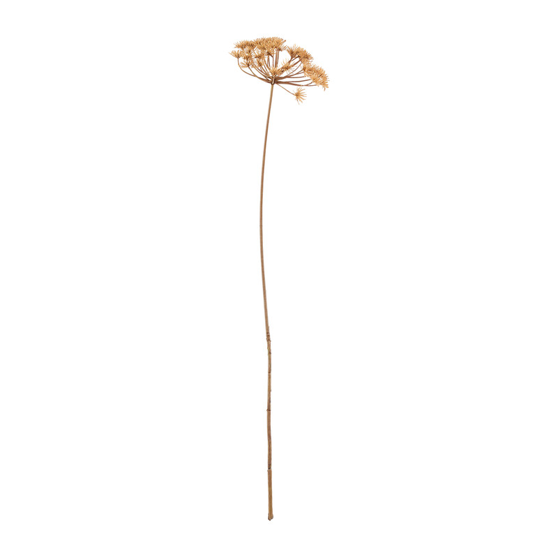 Allium kleine - bloemetjes - 84 cm