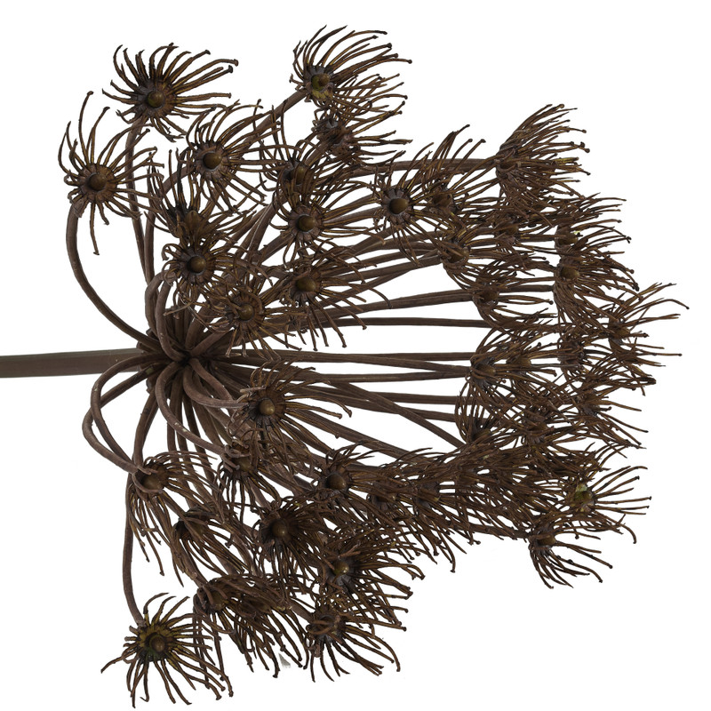 Allium paars - 48 cm 