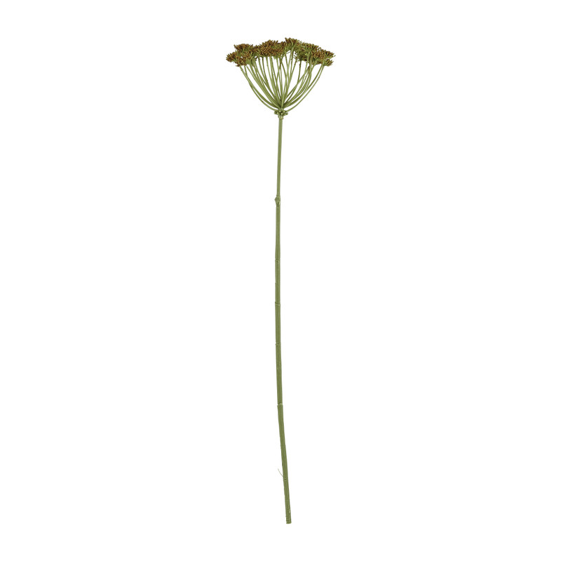 Wilde peen okergeel - 75 cm