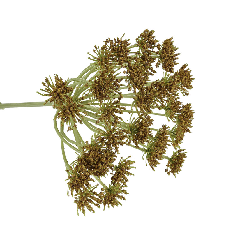 Wilde peen okergeel - 75 cm