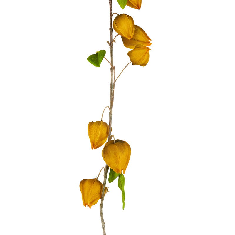 Lampiontak - geel - 91 cm