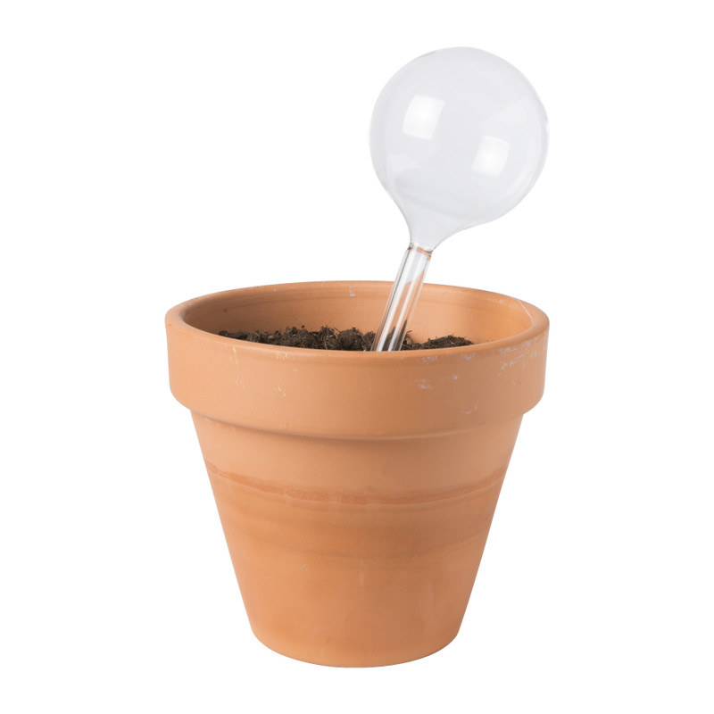 Waterdruppelaar - transparant