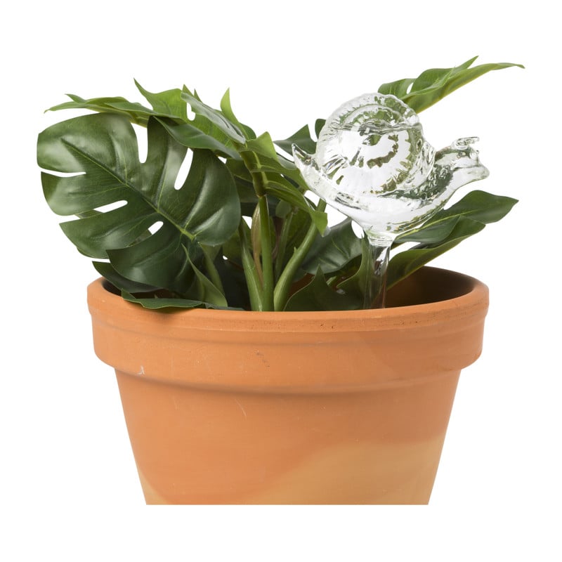 Waterdruppelaar slak - glas - 23x4.8x9.5 cm