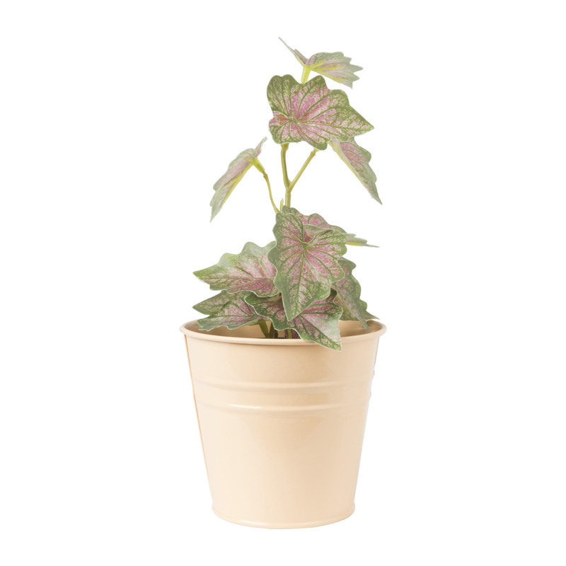 Bloempot peach - ø10x9.5 cm